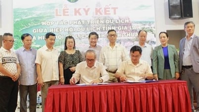 Ninh Thuận - Gia Lai hợp tác phát triển du lịch bền vững