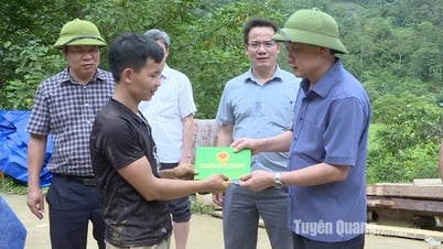 El vicepresidente del Comité Popular Provincial, Nguyen The Giang, inspeccionó la situación de superación de las consecuencias de las inundaciones en Lam Binh.