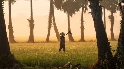 Nghề "Ăn cơm dưới đất, làm việc trên trời"