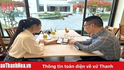 Cẩn trọng trước các chiêu trò lừa đảo du lịch trong những tháng cao điểm hè