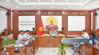 Bộ Y tế lập Tổ công tác đấu tranh ngăn chặn, đẩy lùi tội phạm buôn lậu, gian lận thương mại, hàng giả lĩnh vực y tế