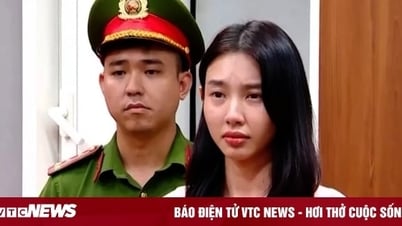Miss Thuy Tien wird der Titel „Junges Gesicht Vietnams“ entzogen