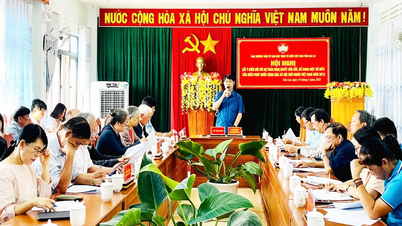 Promoting democracy in amending the 2013 Constitution