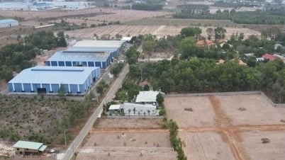 Động thái quyết liệt đáng hoan nghênh của Đồng Nai