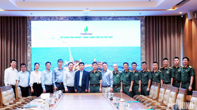 El Departamento de Petróleo amplía la cooperación con el Grupo Nacional de Petróleo y Gas de Vietnam