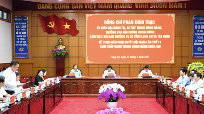 Die Arbeitsgruppe des Politbüros arbeitete mit den Ständigen Ausschüssen der Parteikomitees der Provinzen Long An und Tay Ninh zusammen