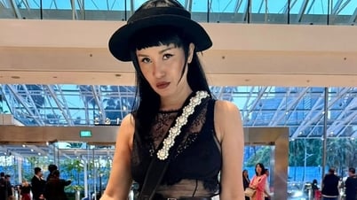 Hong Nhung cambió más allá del reconocimiento, Diep Lam Anh salió con su novio 11 años más joven.