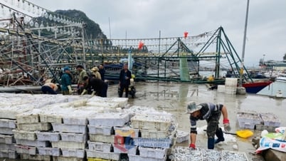 漁船の厳格な管理