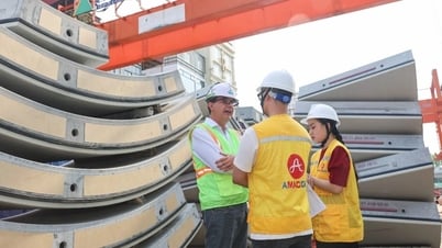 Foreign expert: "AMACCAO's capacity is on par with international partners"