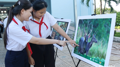 'Sembrar' el amor por el bosque entre los estudiantes