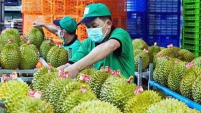 ส่งเสริมการผลิตและส่งออกทุเรียนอย่างยั่งยืน