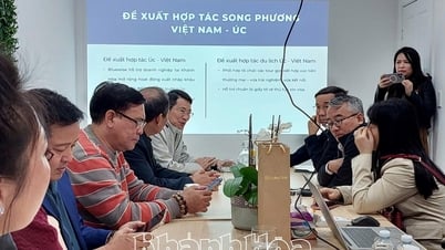 Eine Delegation der Provinz Khanh Hoa besuchte und arbeitete mit der Vietnam Business Association in Sydney und der Bluewise Group Company (Australien) zusammen.