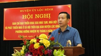 Loc Binh : Évaluation des progrès de l'élimination des logements temporaires, des maisons délabrées et du développement des logements sociaux - Journal et station de radio et de télévision Lang Son