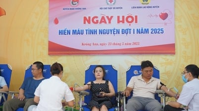 크롱아나 지구: 자발적 헌혈 축제에서 254단위의 혈액을 받았습니다.