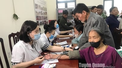 Hiệu quả Đề án sinh kế ở Đông Thọ