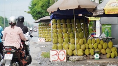 ทุเรียนราคาถูกท่วมถนน