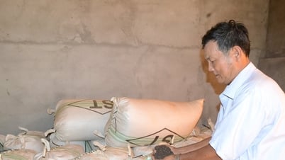 Đắk Nông đề phòng hồ tiêu nhiễm hóa chất