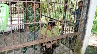 Wildlife rescue story in Nghe An