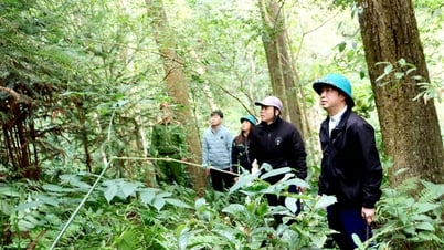 Công khai, minh bạch trong chi trả dịch vụ môi trường rừng