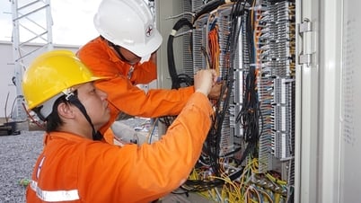 Investir 413 milliards de VND pour développer le réseau électrique moyenne et basse tension dans la province de Dong Thap d'ici 2025