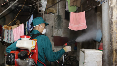 Hanoi planea prevenir el dengue