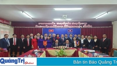 Evaluación de la implementación del memorando de entendimiento entre el Comité Organizador del Comité Provincial del Partido de Quang Tri, Salavan, Savannakhet