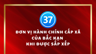 Infographic: Các đơn vị hành chính cấp xã tỉnh Bắc Kạn khi được sắp xếp