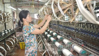 Hệ thống Quỹ tín dụng nhân dân tập trung phát triển ổn định bền vững