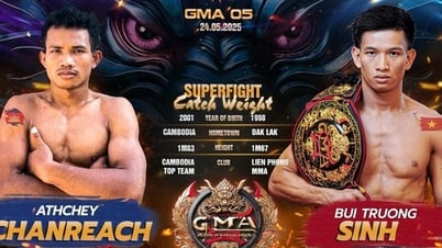 '베트남 무술가' 부이 트롱 신, 국제 MMA 무대 정복 시작