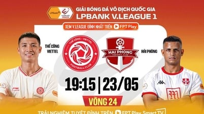 Trực tiếp Thể Công Viettel vs Hải Phòng, 19h15 ngày 23/5: Vượt qua sóng gió