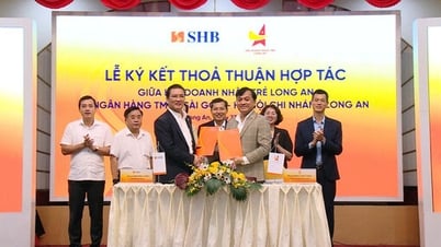 สิทธิพิเศษของ SHB สำหรับธุรกิจที่เป็นสมาชิกสมาคมผู้ประกอบการรุ่นเยาว์หลงอัน