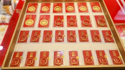 Precio del oro esta tarde 23 de mayo de 2025: Los precios del oro nacionales y mundiales aumentaron nuevamente al nivel de ayer.