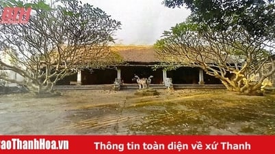 Vinh Khang followed Uncle Ho's letter of praise