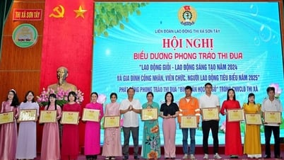 Fast 130 Athleten nehmen am Hanoi Open Traditional Wrestling Tournament Phung Hung Cup teil