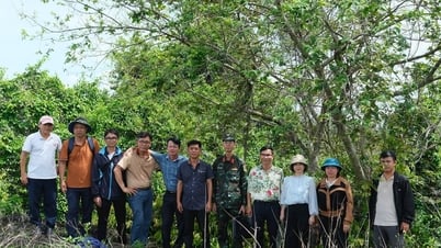 Dak Nong délimite une zone de protection pour les grottes C7 et C8