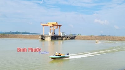 TMP: “Cộng đồng bền vững - Thích ứng thiên tai”
