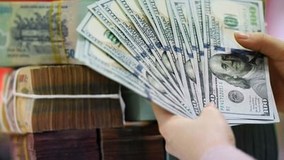 Tipo de cambio del USD hoy 23/05/2025: El USD nacional disminuyó 7 VND