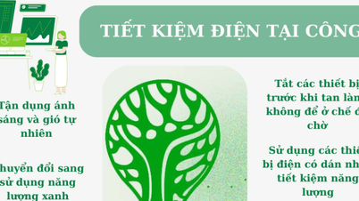 Làm gì để tiết kiệm điện nơi công sở?