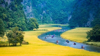 "Sắc vàng Tam Cốc - Tràng An" - Tuần du lịch Ninh Bình 2025
