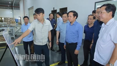 The Chairman of the Provincial People's Committee visited and encouraged a number of production and business establishments.