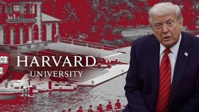 Lệnh cấm với Đại học Harvard, chuyên gia lưu ý với sinh viên Việt