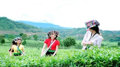 Lấy ý kiến nhân dân về kết quả thực hiện Nghị quyết Đại hội Đảng bộ tỉnh lần thứ XIV