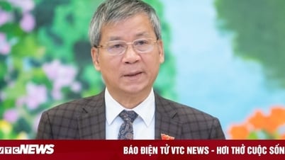 ¿Construir 25 universidades en Ha Nam será un desperdicio y se retrasará tanto como los hospitales Bach Mai y Viet Duc?