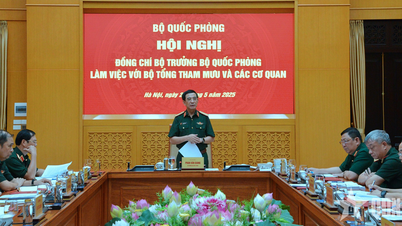 Phan Van Giang 장군은 참모부 및 기관과 협력합니다.