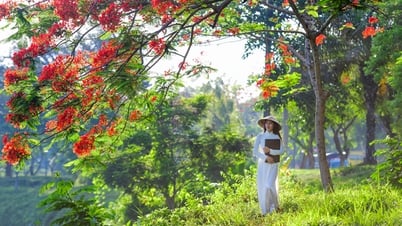 ฤดูร้อนโบราณ