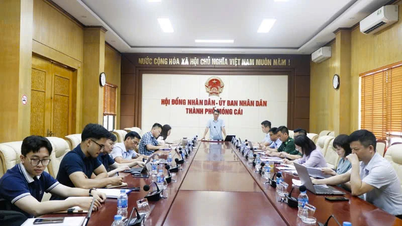 Xây dựng trung tâm logistics, thí điểm xây dựng cửa khẩu thông minh tại Móng Cái
