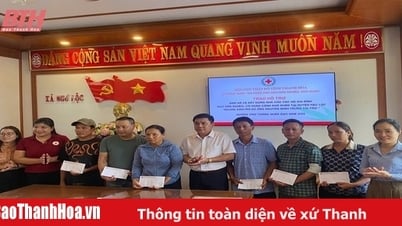 Provincial Red Cross Society provides livelihood support and builds houses for poor fishermen