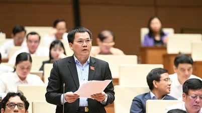 ダクノン国会議員ドゥオン・カック・マイ氏：PPPプロジェクトの実施プロセスを区別するために州の資本基準を使用すべきではない