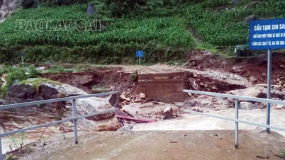 Las fuertes lluvias provocaron inundaciones localizadas y daños en algunas localidades de la provincia.