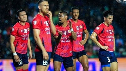 V-League будет приостановлена ​​из-за национального траура